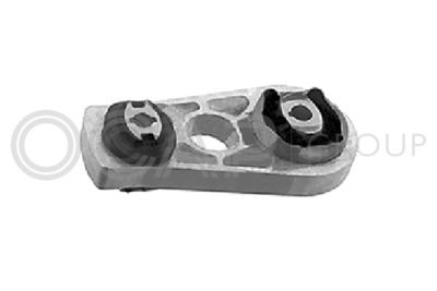 OCAP Variklio montavimas
