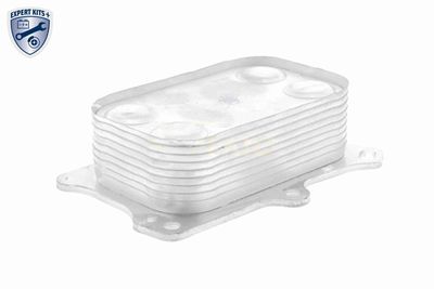 RADIATOR ULEI ULEI MOTOR VEMO V24600014 9