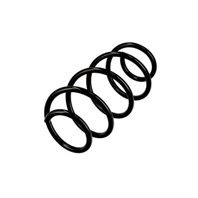 ARC SPIRAL EIBACH R10521 3