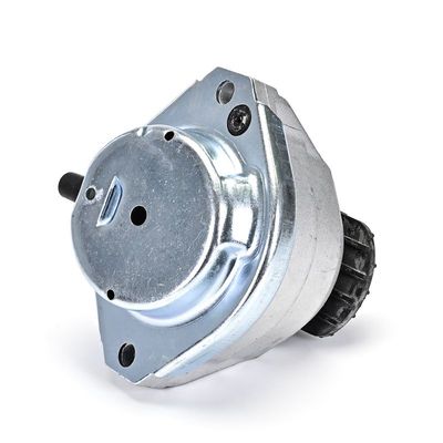 LAGERUNG MOTOR DELPHI TEM258 11