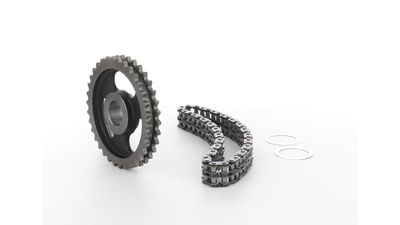 STEUERKETTENSATZ SKF VKML81008 14
