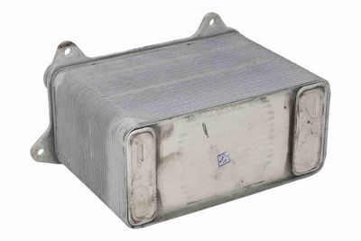 Motorradiator