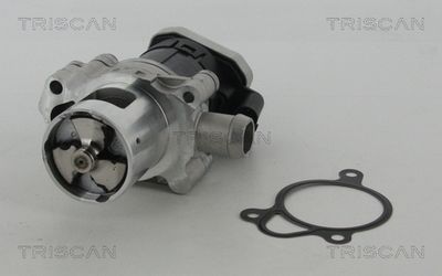 Zawór AGR TRISCAN 8813 23010
