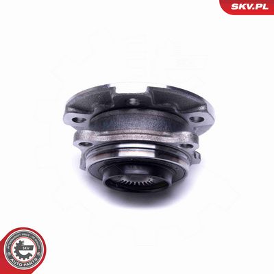 SET RULMENT ROATA ESEN SKV 29SKV366 2