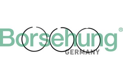 SET SEGMENTI PISTON Borsehung B10363