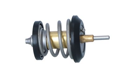 TERMOSTAT LICHID RACIRE NRF 725250 35