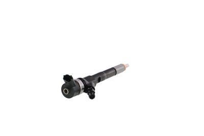 INJECTOR REMANTE 002003001665R 30