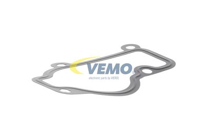 GARNITURA TERMOSTAT VEMO V45999001 45