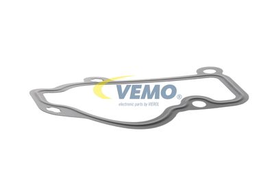 GARNITURA TERMOSTAT VEMO V45999001 48