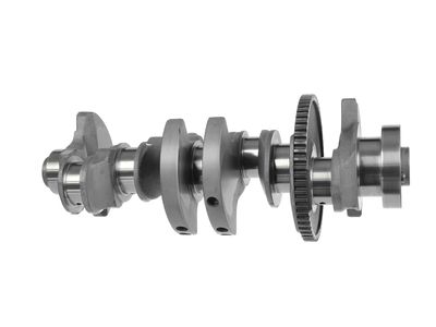 ARBORE COTIT ET ENGINETEAM HK0216 7