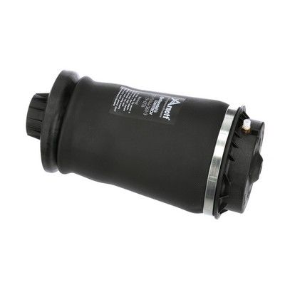 ARC PNEUMATIC DIRECTIE Arnott A2596 54