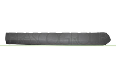 ELEMENTE DECORATIVE/PROTECTIE PORTIERA PRASCO FT9101453