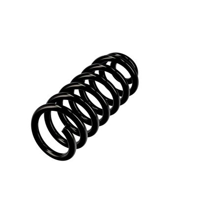 ARC SPIRAL EIBACH R10602 15