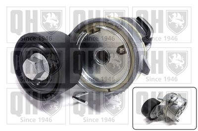 Rolka napinacza, pasek klinowy wielorowkowy QUINTON HAZELL QTA1535