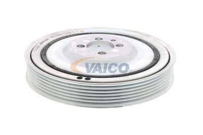 SET FULIE ARBORE COTIT VAICO V240865 42