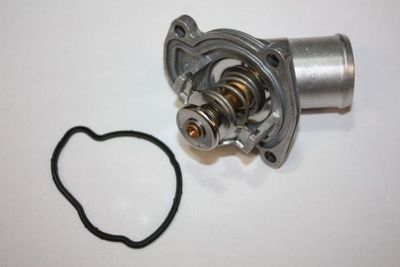 TERMOSTAT LICHID RACIRE