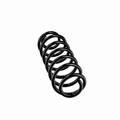 ARC SPIRAL EIBACH R10795 24
