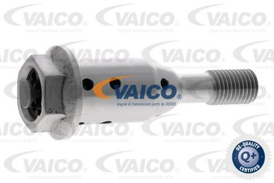 Центральный клапан, шестерня привода распределительного вала VAICO V20-4079 для BMW i8