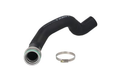 FURTUN EAR SUPRAALIMENTARE