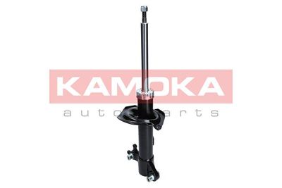 Shock Absorber 2000112