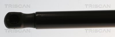 AMORTIZOR PORTBAGAJ TRISCAN 871082010 1
