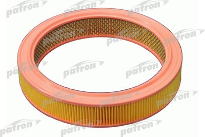 PATRON PF1001 Воздушный фильтр  для RENAULT 19 (Рено 19)