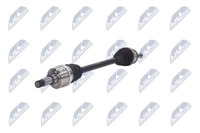 PLANETARA NTY NPWCH090 19