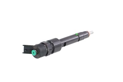 INJECTOR REMANTE 002003000970R 33
