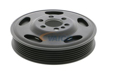 FULIE CUREA ARBORE COTIT VAICO V108783 27