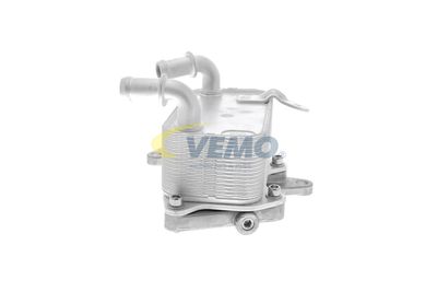 RADIATOR ULEI ULEI MOTOR VEMO V15606073 16