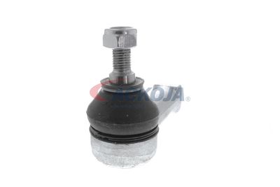 CAP DE BARA ACKOJA A371110 50