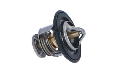 TERMOSTAT LICHID RACIRE NRF 725143 39