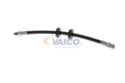 FURTUN FRANA VAICO V101043 13