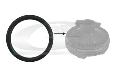 INEL ETANSARE SURUB DRENA ULEI