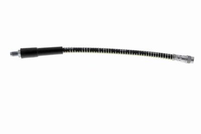 FURTUN FRANA VAICO V464113 1