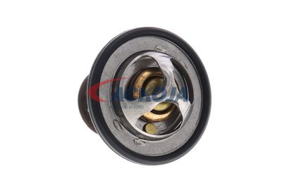TERMOSTAT LICHID RACIRE ACKOJA A70990031 20