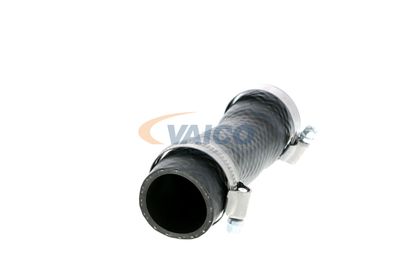 FURTUN RADIATOR VAICO V202461 50