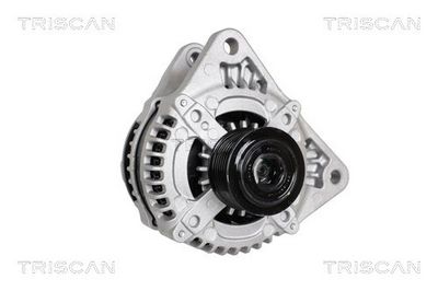 Generator TRISCAN 8310 69013