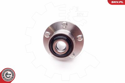 Wheel Bearing Kit 29SKV021