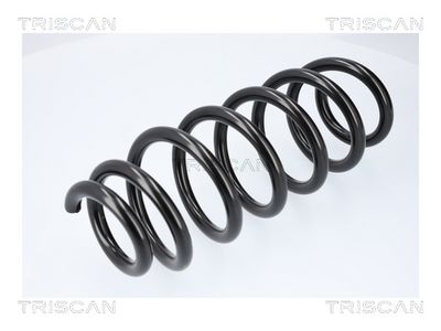 ARC SPIRAL TRISCAN 87508108 1