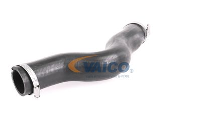 FURTUN EAR SUPRAALIMENTARE VAICO V401448 30