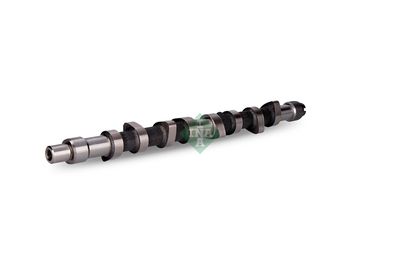 NOCKENWELLE Schaeffler INA 428008510 2