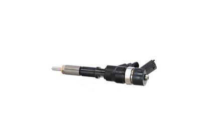 INJECTOR REMANTE 002003000013R 11