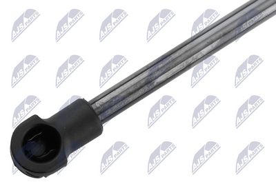 AMORTIZOR CAPOTA NTY AETY061 1