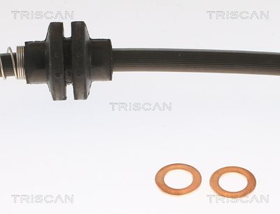 Bremžu šļūtene TRISCAN 8150 10145
