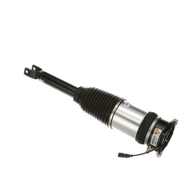 LUFTFEDERBEIN Arnott AS2968 66