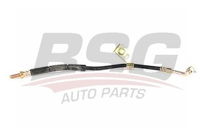 Тормозной шланг BSG BSG 30-730-017 для FORD ORION