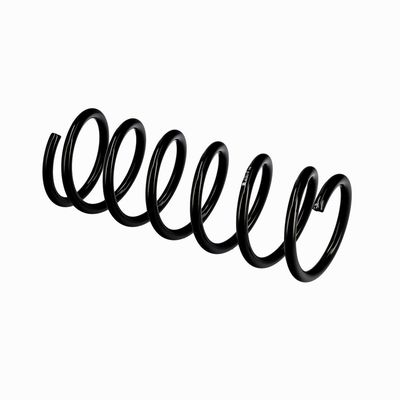 ARC SPIRAL EIBACH R10118 21