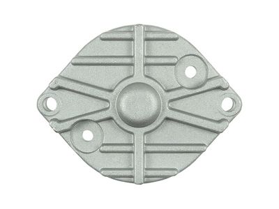 AS-PL Starterdeckel, Vergaser