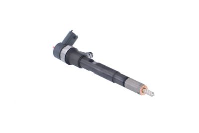 INJECTOR REMANTE 002003000145R 49